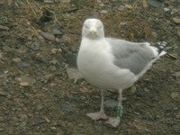 Cliquer sur la photo pour lagrandir