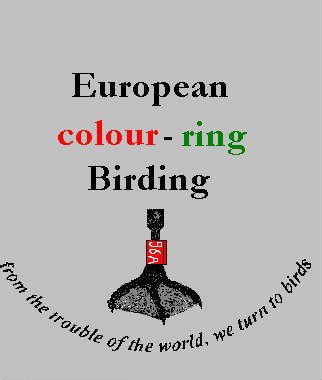 logo European colour-ring Birding