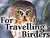 Be or find a Birding Pal!