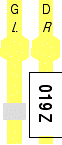 019Z