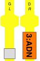 3:ADN