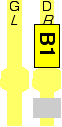 B1