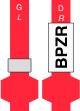 BPZR