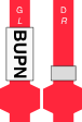 BUPN