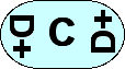 CD+