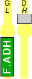 F.ADH