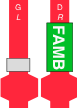 FAMB