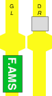 F.AMS
