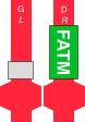 FATM