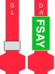  FSAY