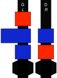 LARBFBRABR