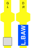 L.BAW
