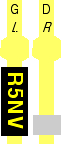 R5NV