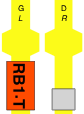 RB1.T