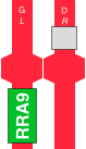 RRA9