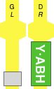 Y·ABH