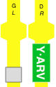 Y·ARV