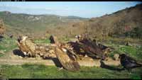 Cliquer pour l’agrandir