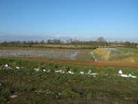 CET La Séguinière 6 février 2009