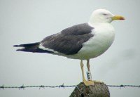 14&middot;7&middot;02, cliquer sur la photo pour l&rsquo;agrandir